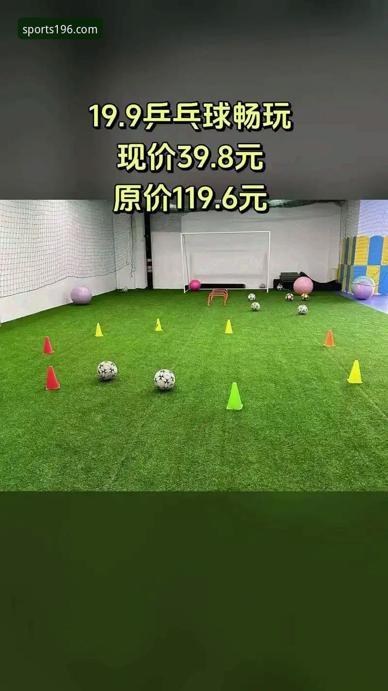196体育平台体育互动功能使用教程：从下载到畅玩全指南