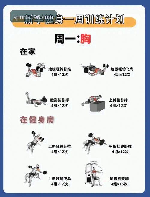 196体育app官方下载最新动态——一站式新手使用教程全解析